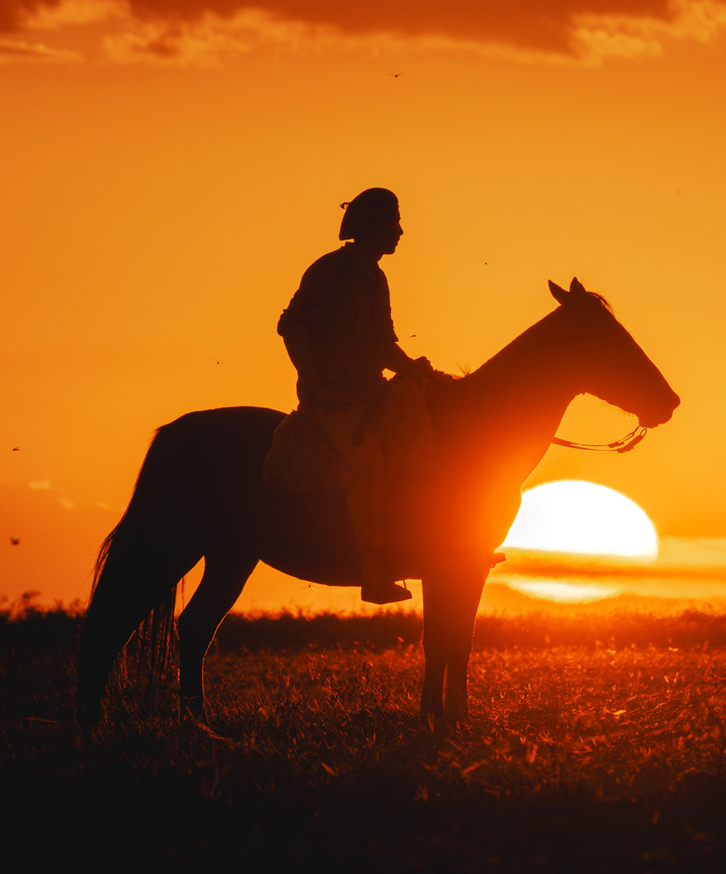 Gaucho horsemanship in the Argentine countryside